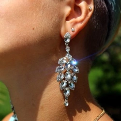 Вечірні сережки Лоза