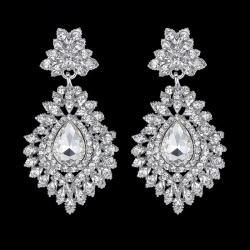 Сережки з камінням Аніка