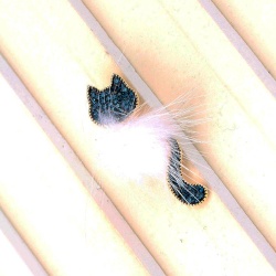 Брошка котик з пухом lan-2834