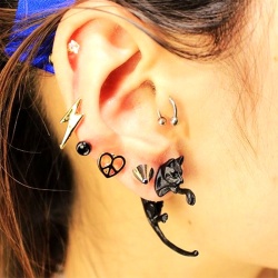 Сережки гвоздики Котики