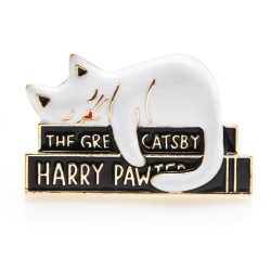 Брошь кіт на книжках