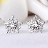 Сережки гвоздики Crystal Star срібні
